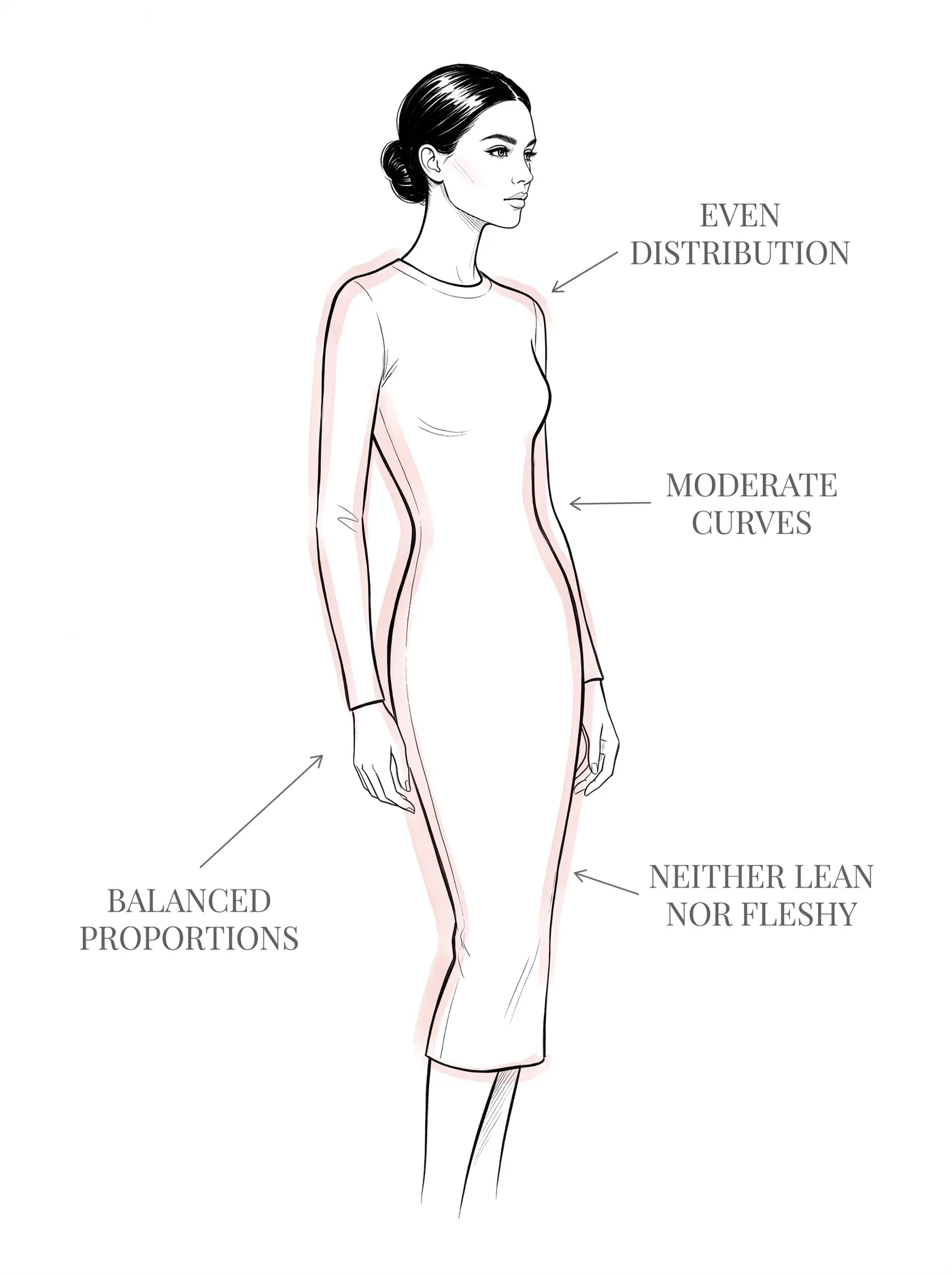Classic flesh and curve — annotated diagram