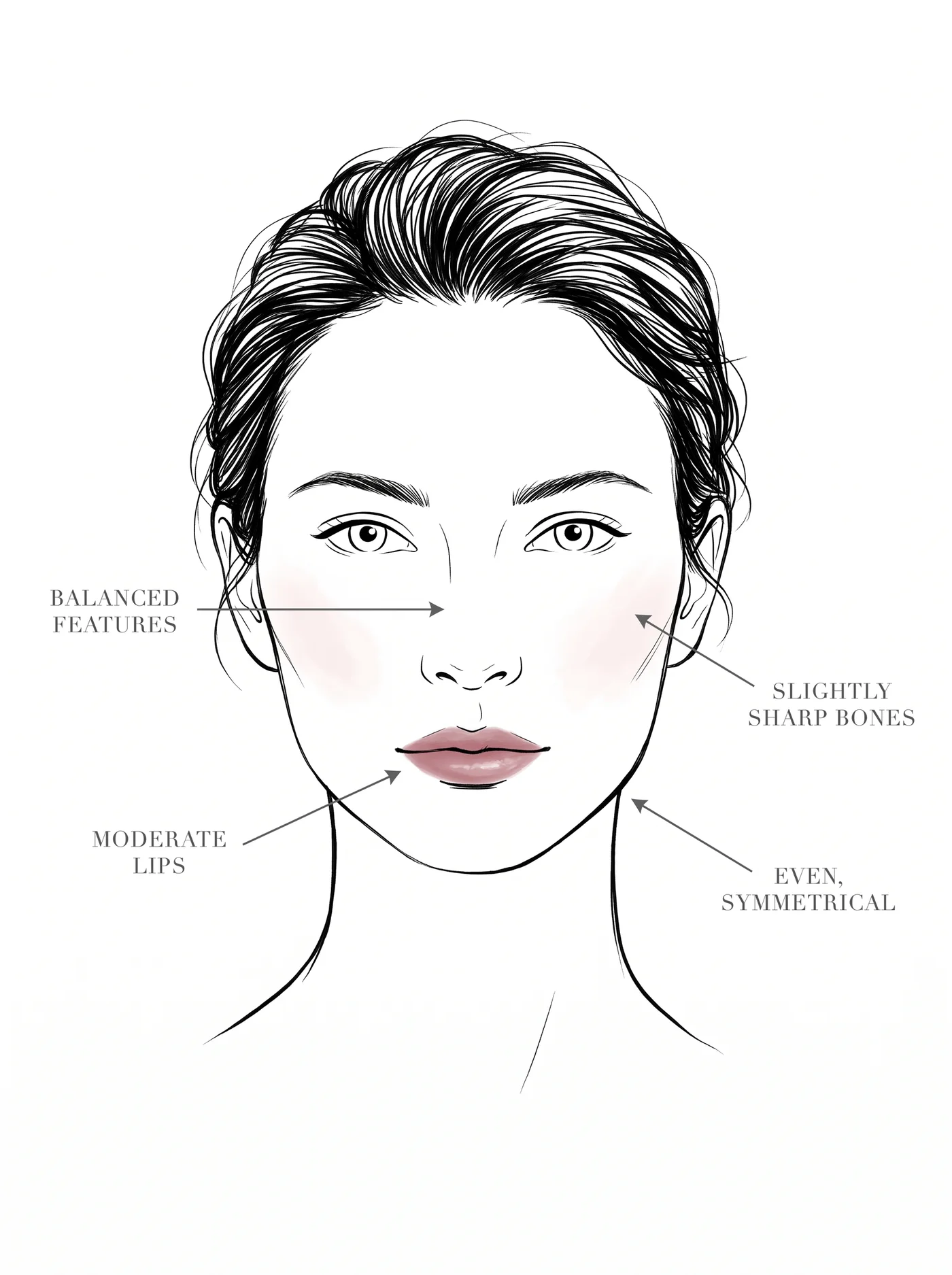 Dramatic Classic facial features — annotated diagram