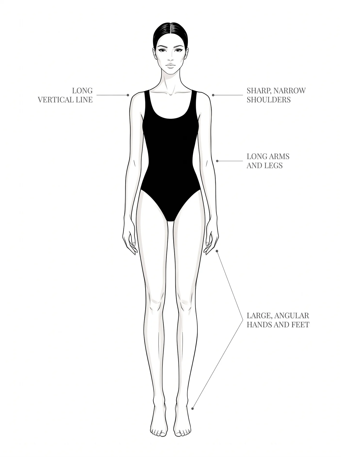 Dramatic bone structure — annotated diagram