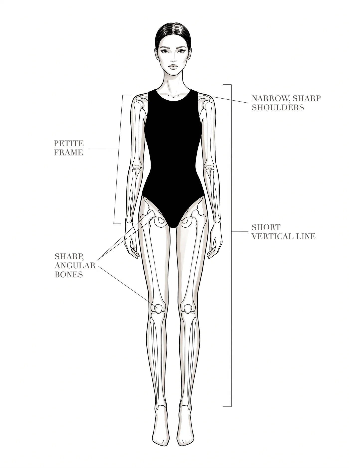 Flamboyant Gamine bone structure — annotated diagram