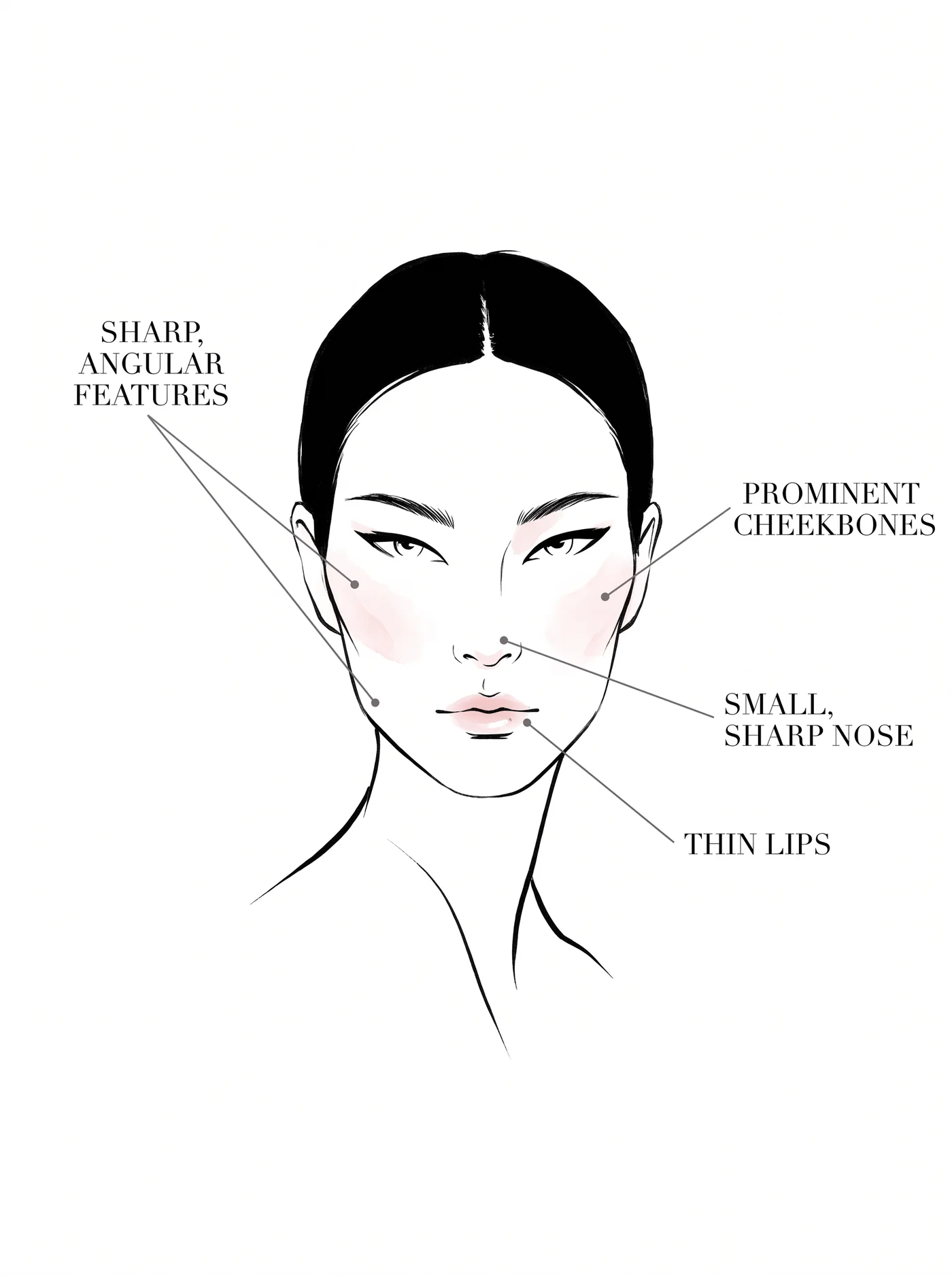 Flamboyant Gamine facial features — annotated diagram
