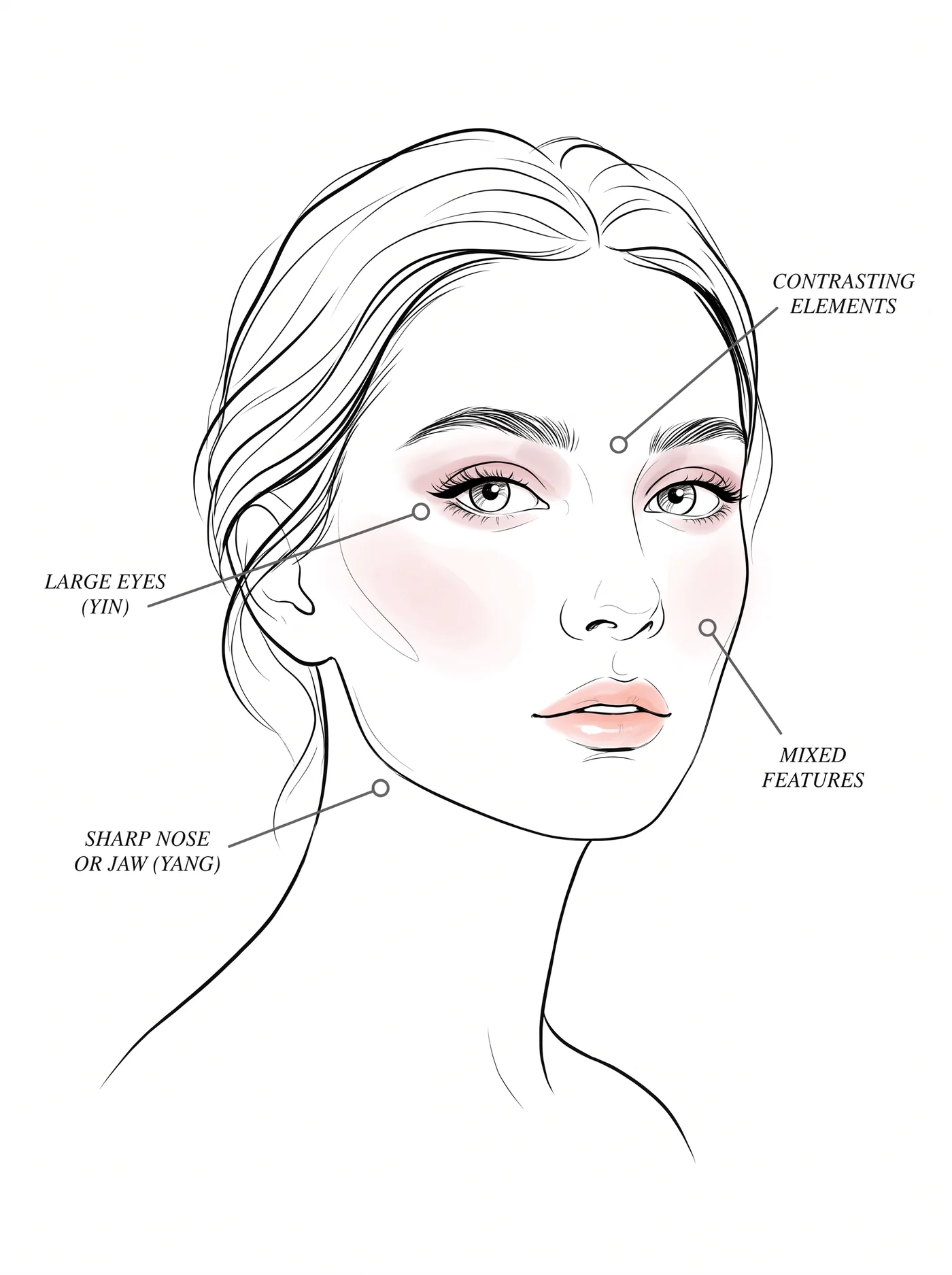 Gamine facial features — annotated diagram