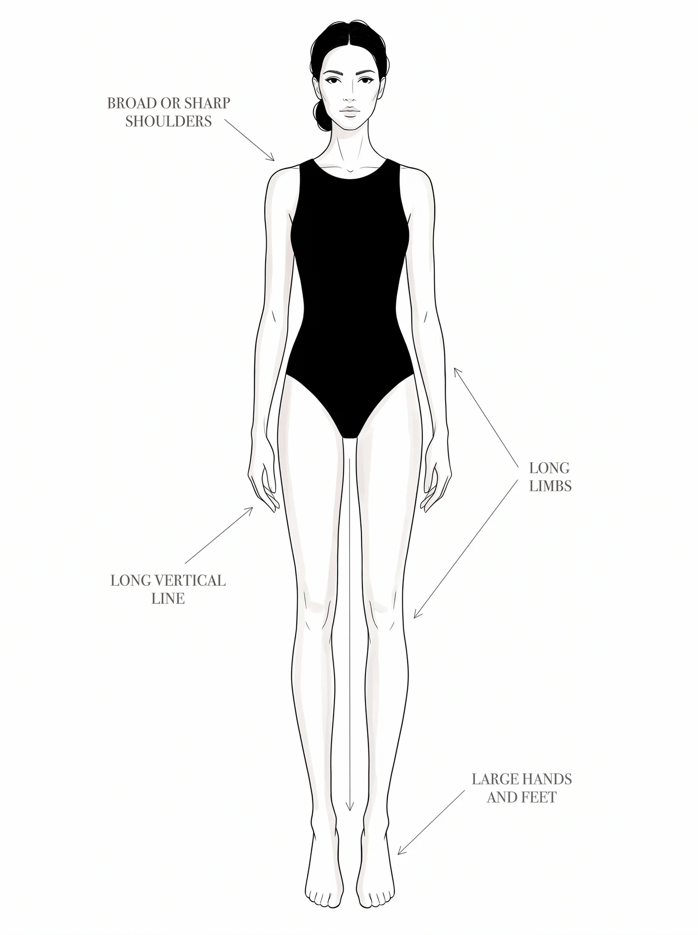Soft Dramatic bone structure โ annotated diagram