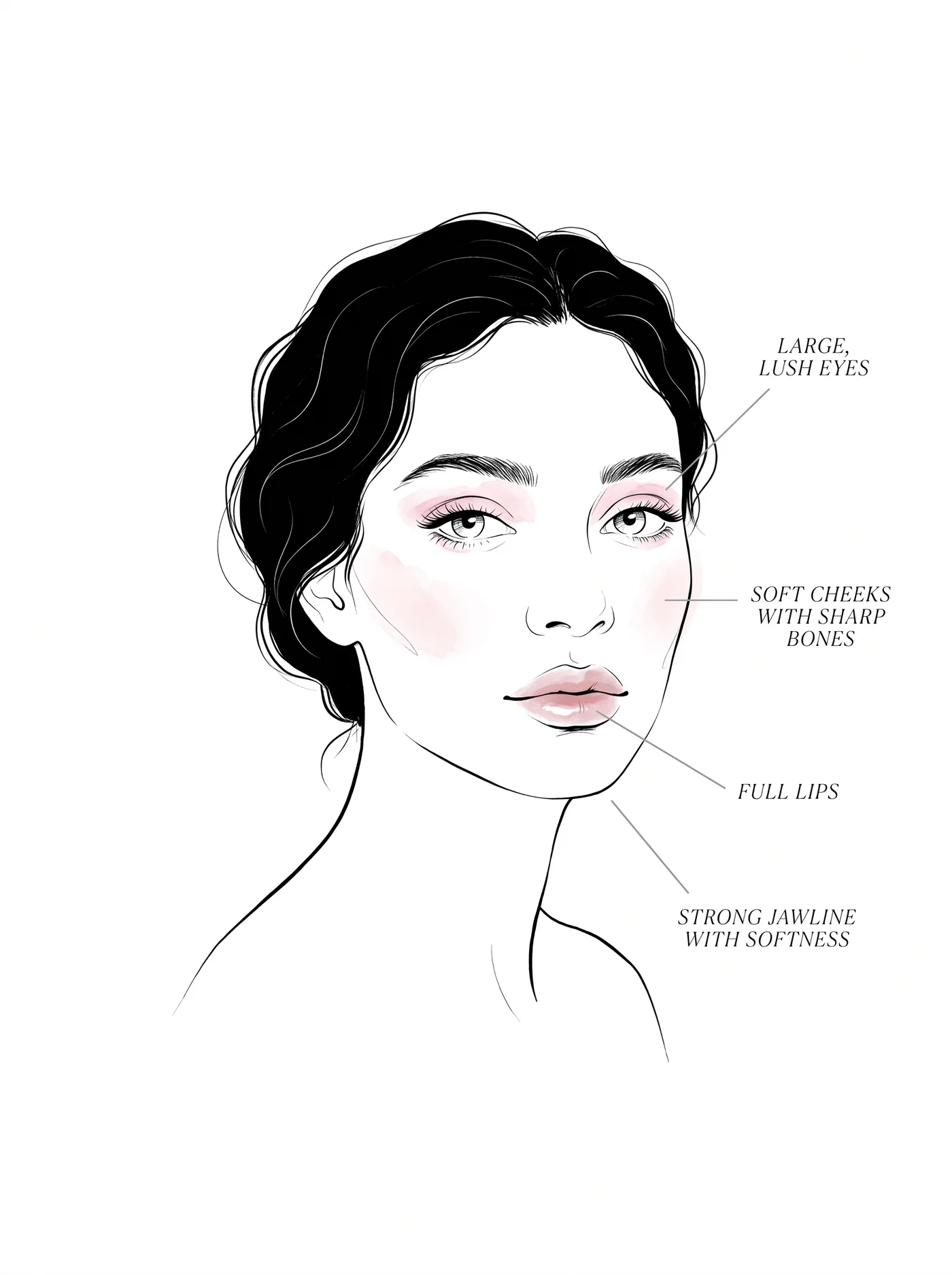 Soft Dramatic facial features โ annotated diagram