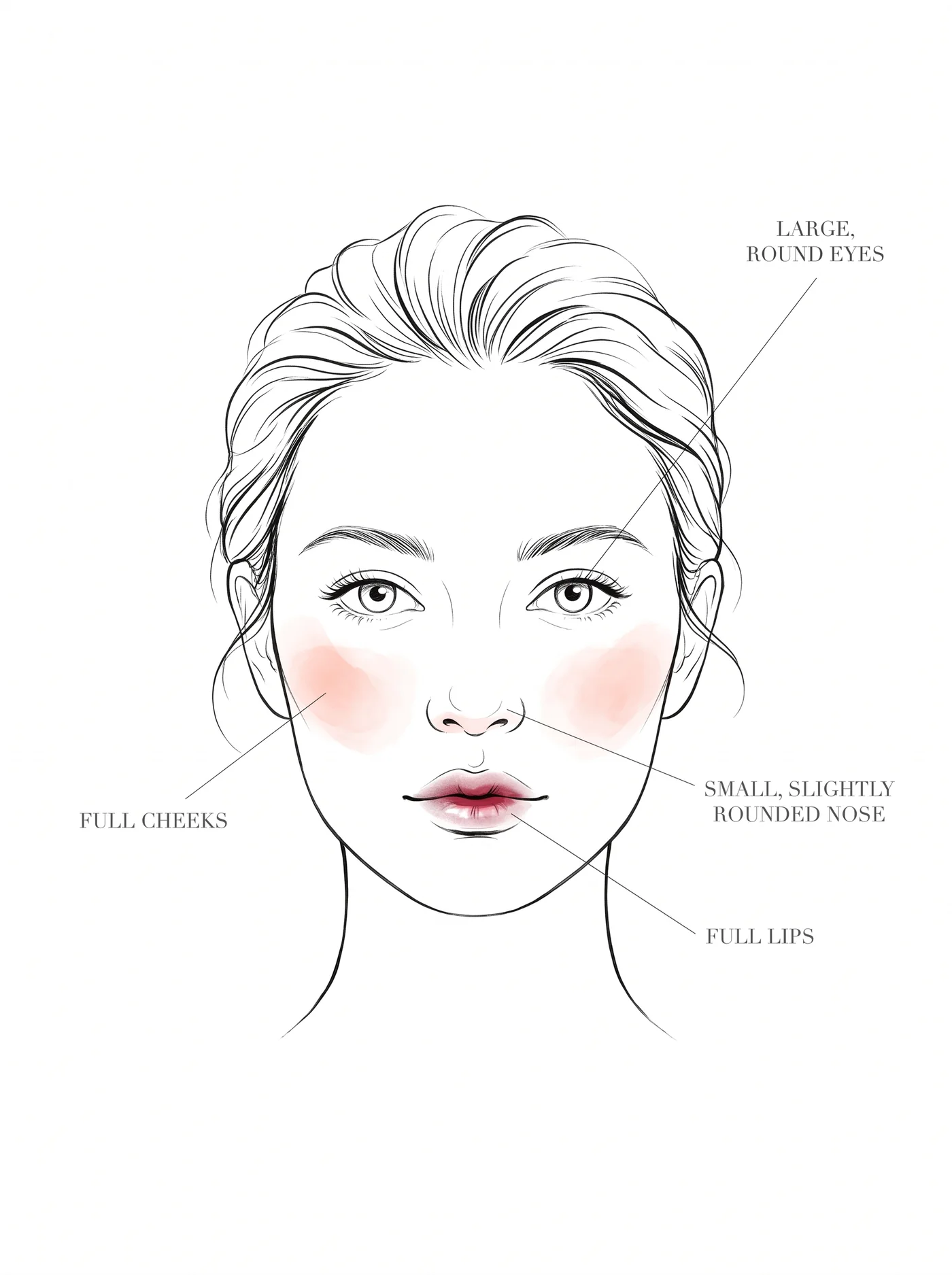 Soft Gamine facial features — annotated diagram