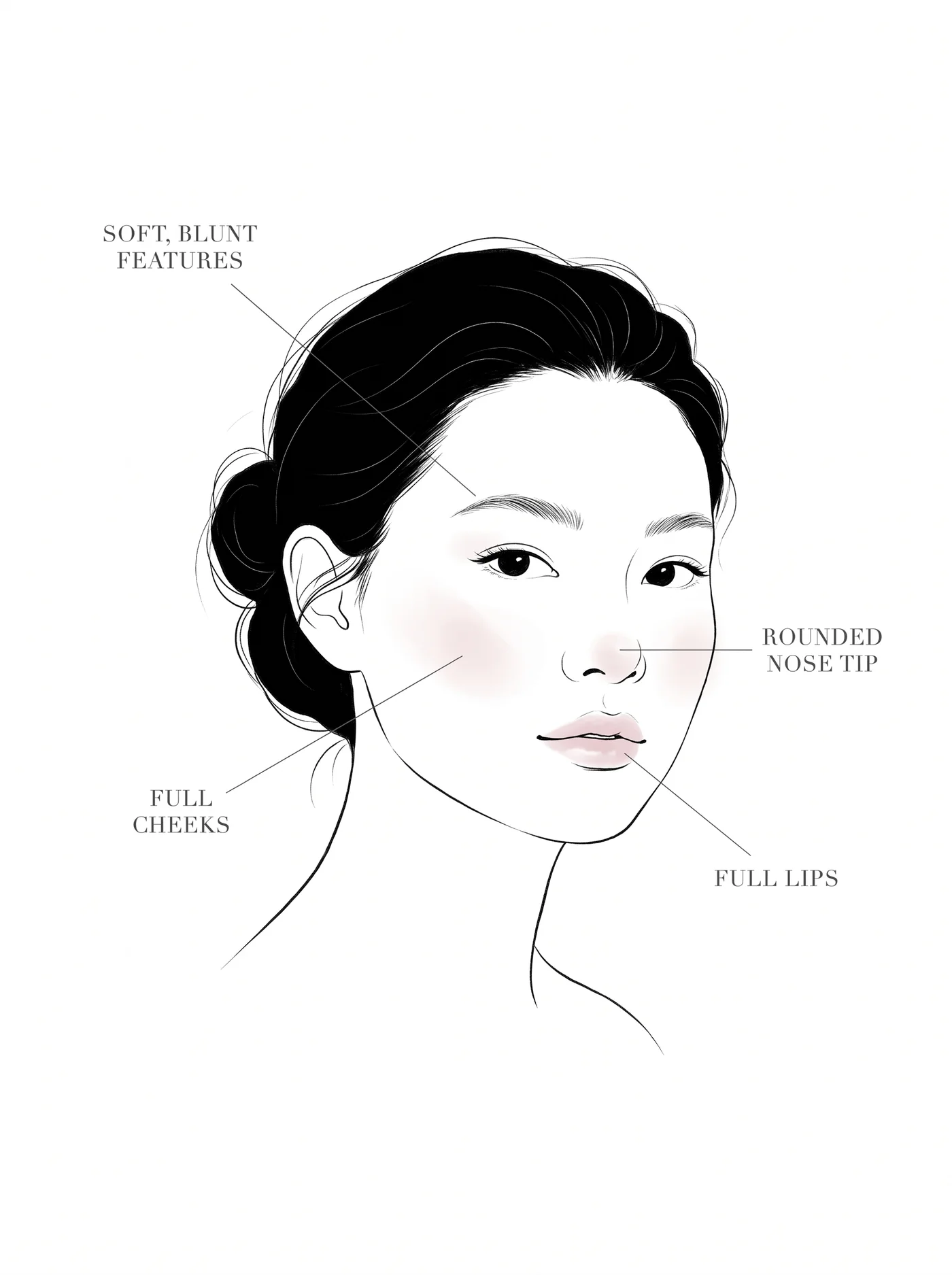 Soft Natural facial features — annotated diagram