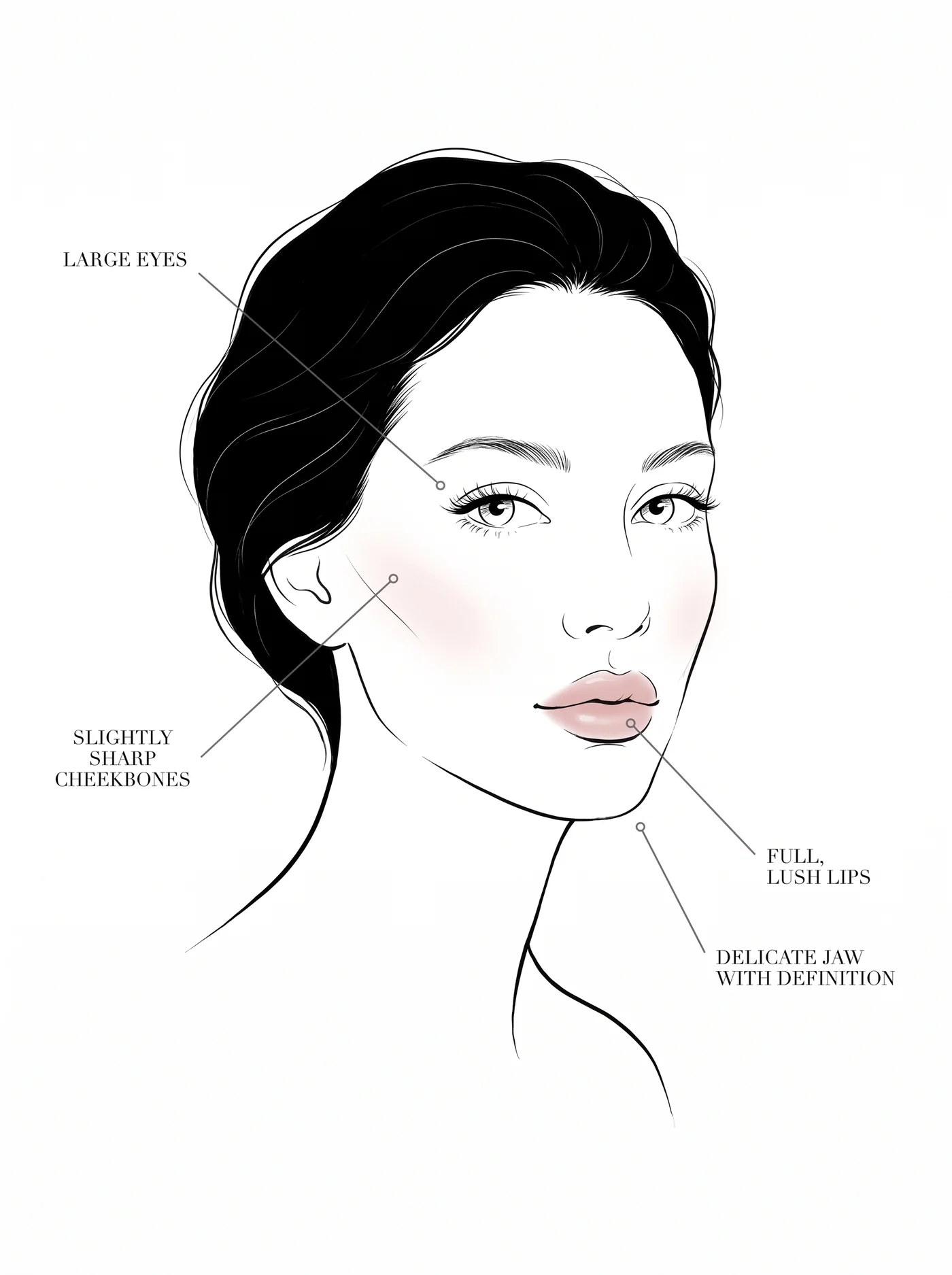 Theatrical Romantic facial features — annotated diagram